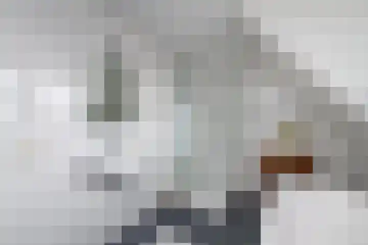 Schoterweg 38 Rotstergaast thumbnail 34