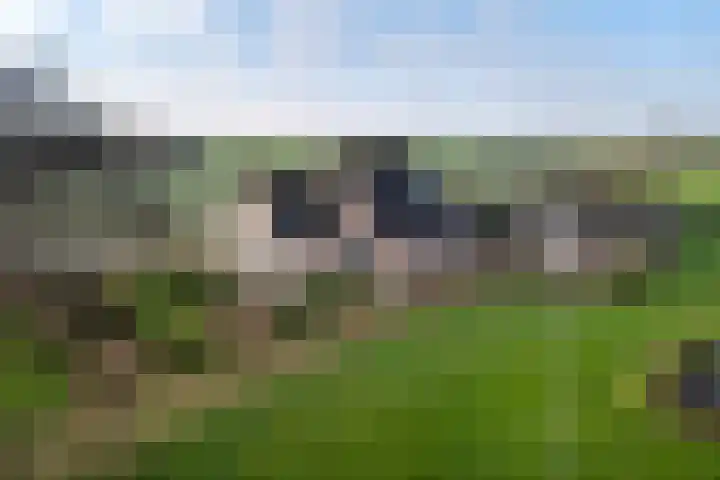 Schoterweg 38 Rotstergaast thumbnail 37