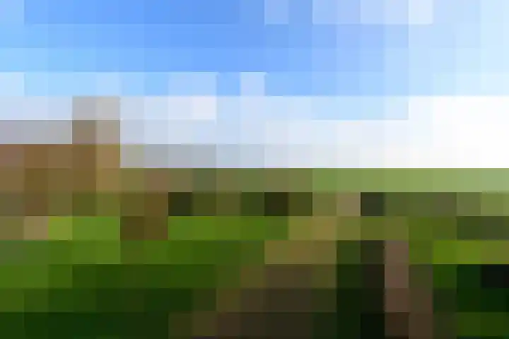 Schoterweg 38 Rotstergaast thumbnail 39