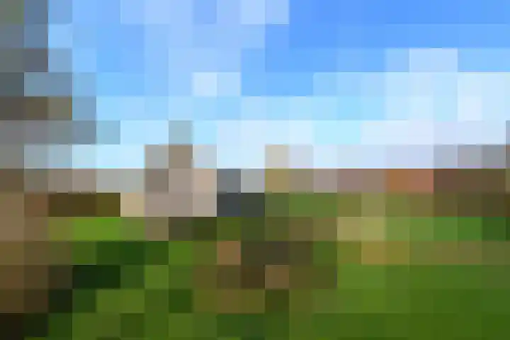 Schoterweg 38 Rotstergaast thumbnail 4