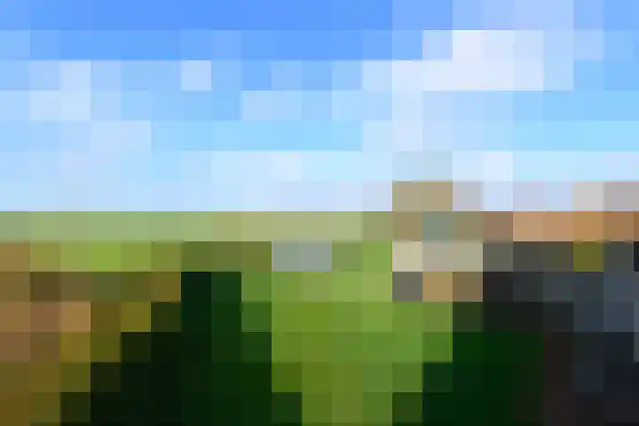 Schoterweg 38 Rotstergaast thumbnail 40