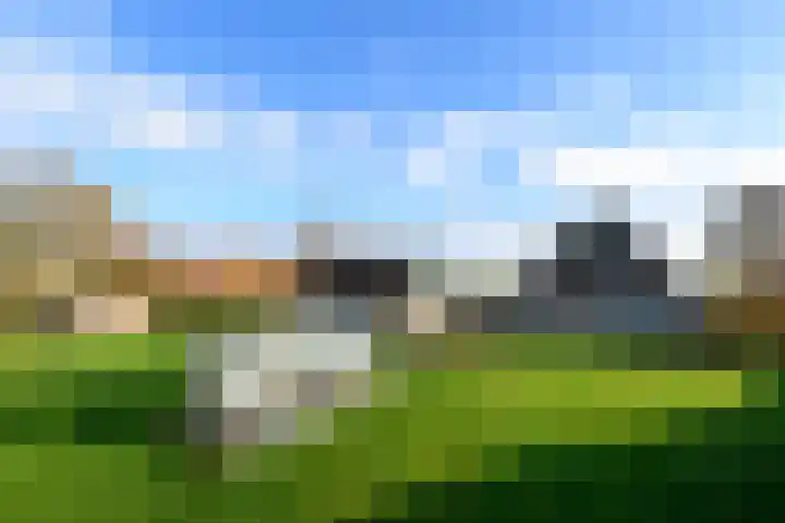 Schoterweg 38 Rotstergaast thumbnail 41