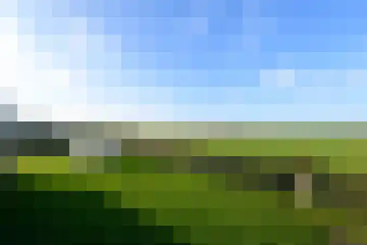 Schoterweg 38 Rotstergaast thumbnail 42