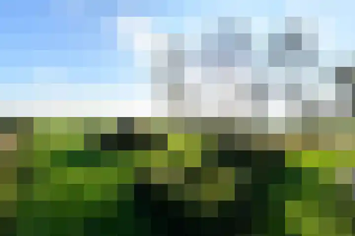 Schoterweg 38 Rotstergaast thumbnail 43