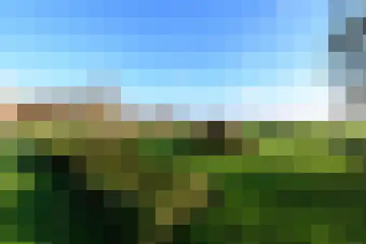 Schoterweg 38 Rotstergaast thumbnail 44