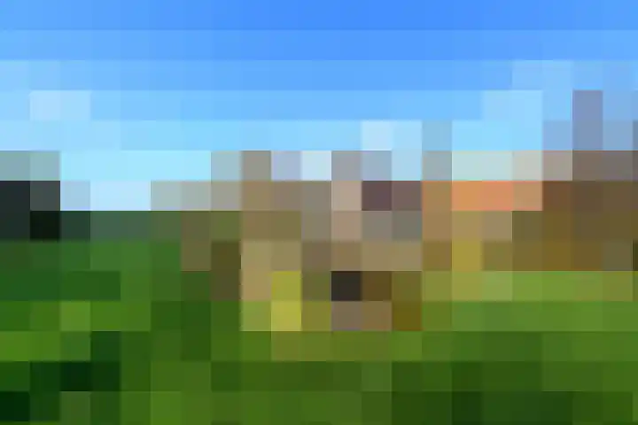 Schoterweg 38 Rotstergaast thumbnail 46