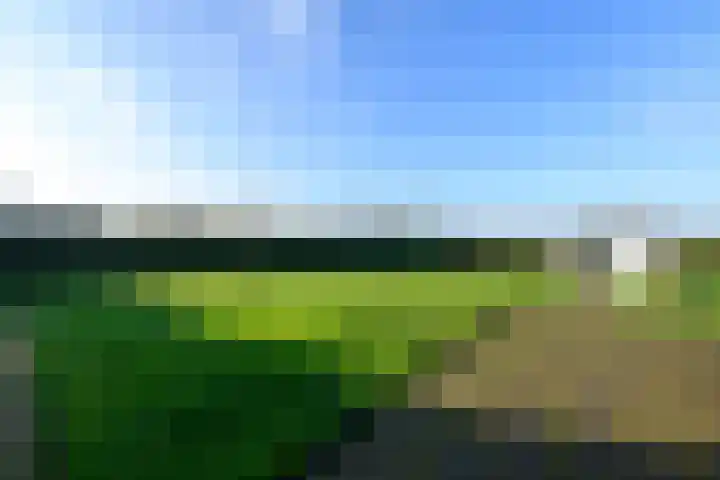 Schoterweg 38 Rotstergaast thumbnail 47
