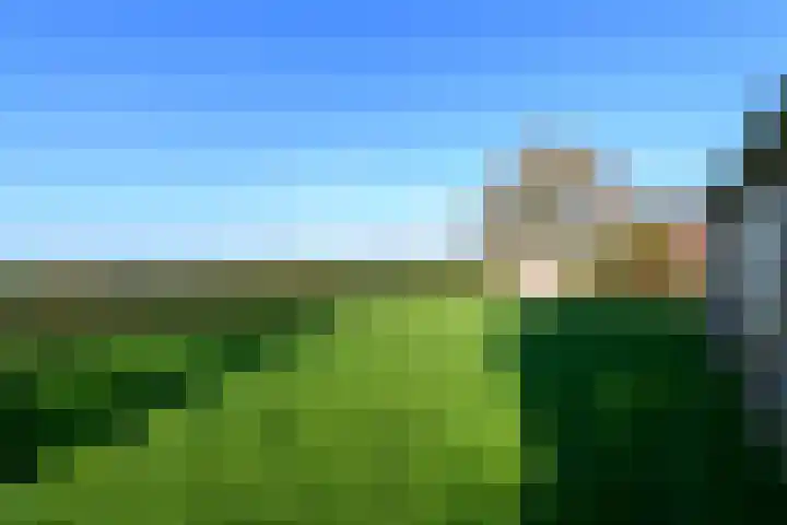 Schoterweg 38 Rotstergaast thumbnail 48