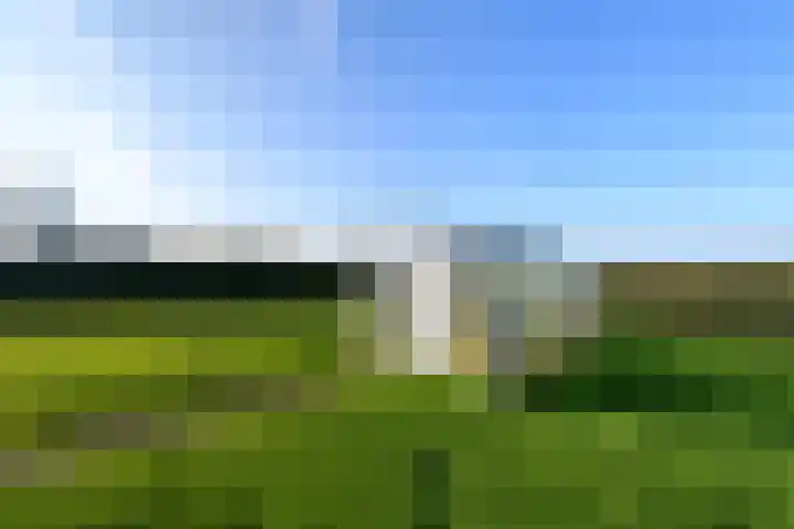 Schoterweg 38 Rotstergaast thumbnail 49