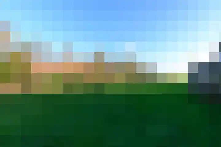 Schoterweg 38 Rotstergaast thumbnail 50