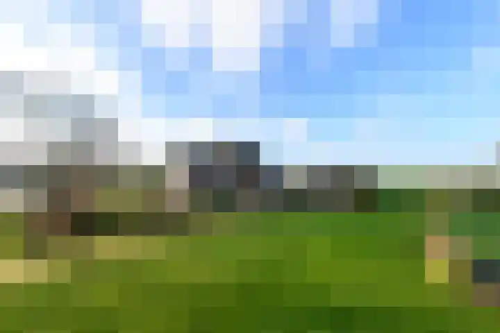 Schoterweg 38 Rotstergaast thumbnail 51
