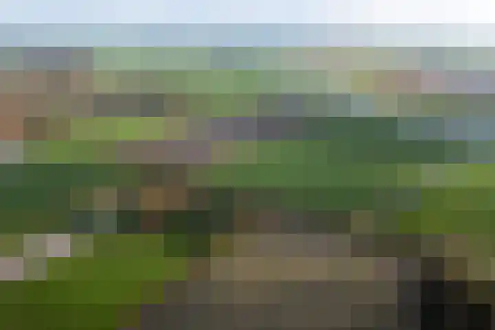 Schoterweg 38 Rotstergaast thumbnail 52