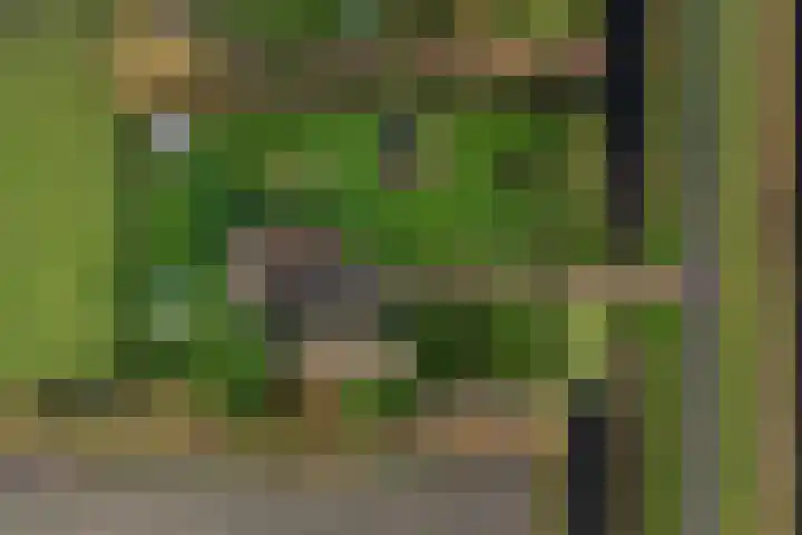 Schoterweg 38 Rotstergaast thumbnail 53