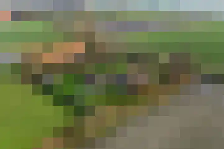 Schoterweg 38 Rotstergaast thumbnail 54