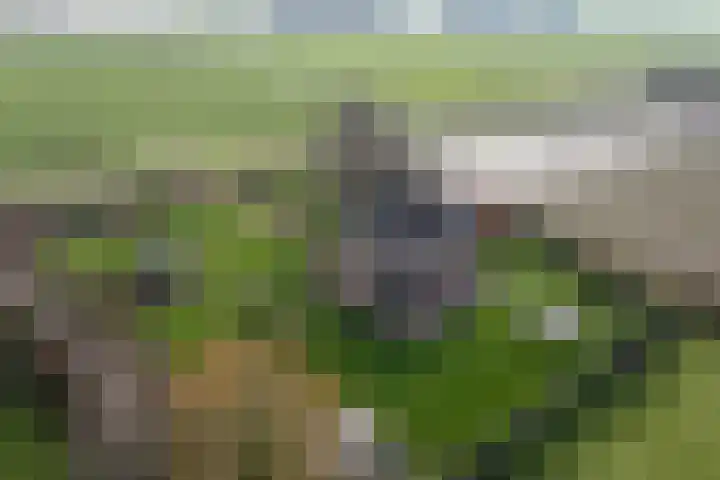 Schoterweg 38 Rotstergaast thumbnail 55