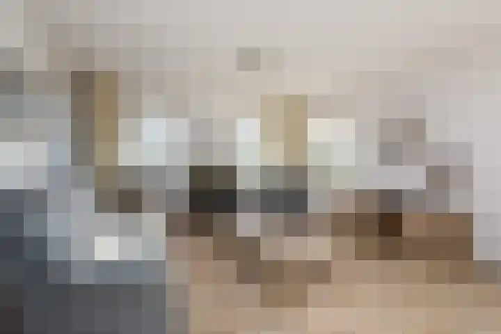Schoterweg 38 Rotstergaast thumbnail 6