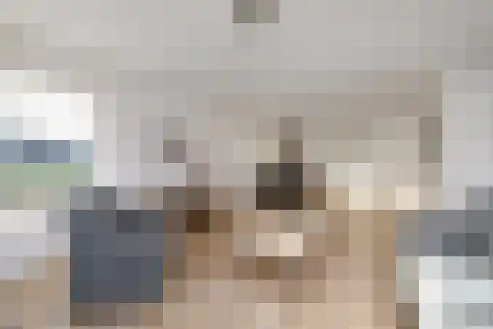Schoterweg 38 Rotstergaast thumbnail 7