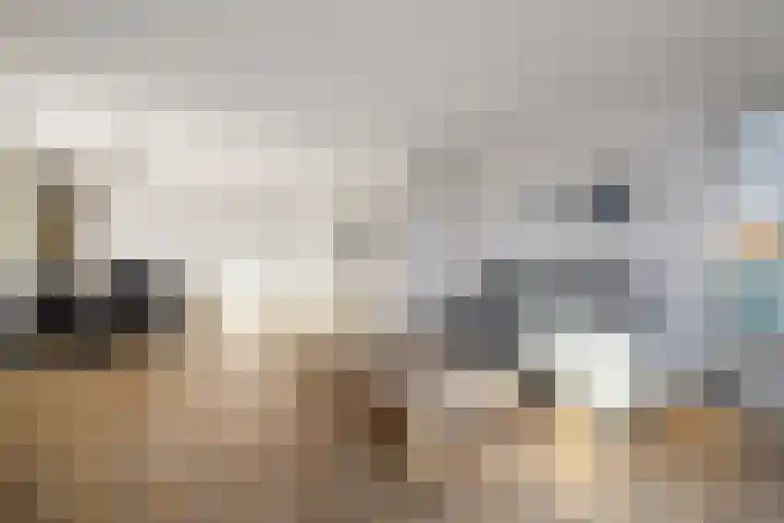 Schoterweg 38 Rotstergaast thumbnail 8