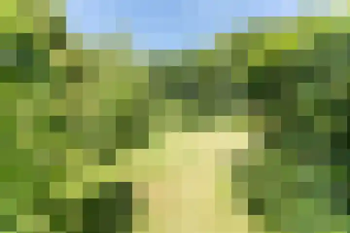 Schoterweg 5 A Bant thumbnail 37