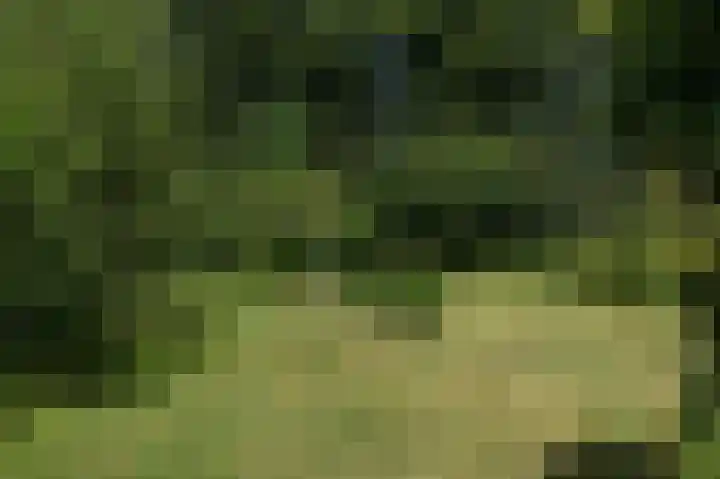 Schoterweg 5 A Bant thumbnail 38