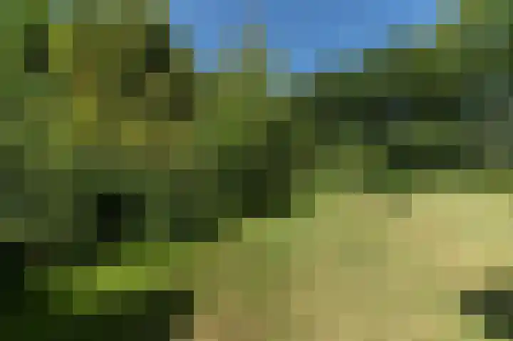 Schoterweg 5 A Bant thumbnail 39