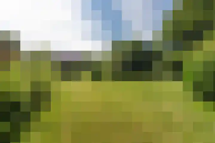 Schoterweg 5 A Bant thumbnail 5