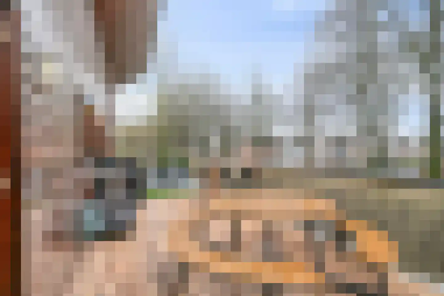 Schothorsterlaan 55 Amersfoort thumbnail 32