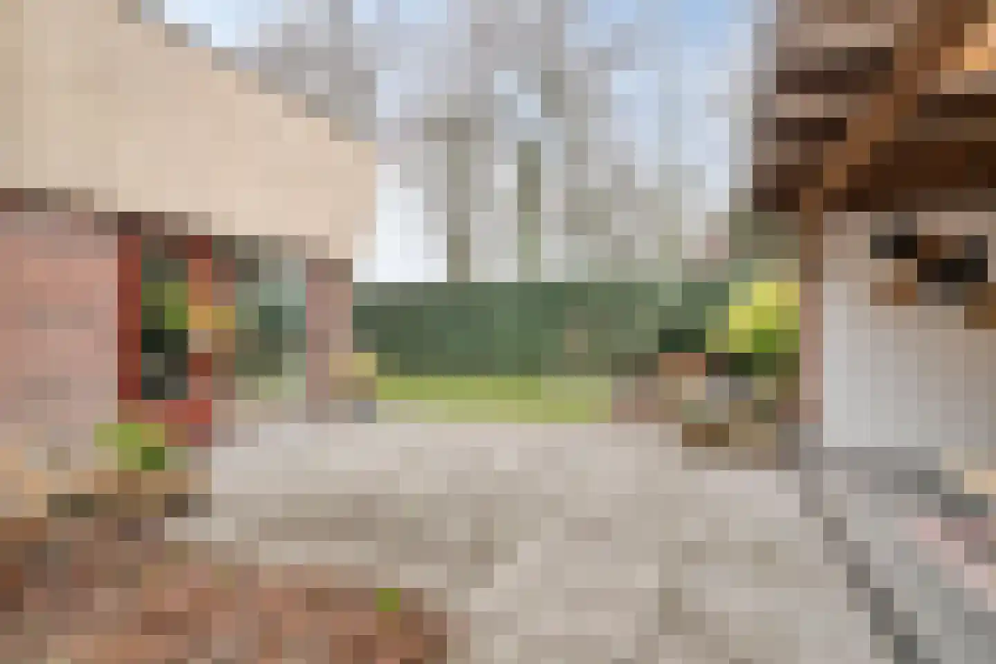 Schothorsterlaan 55 Amersfoort thumbnail 35