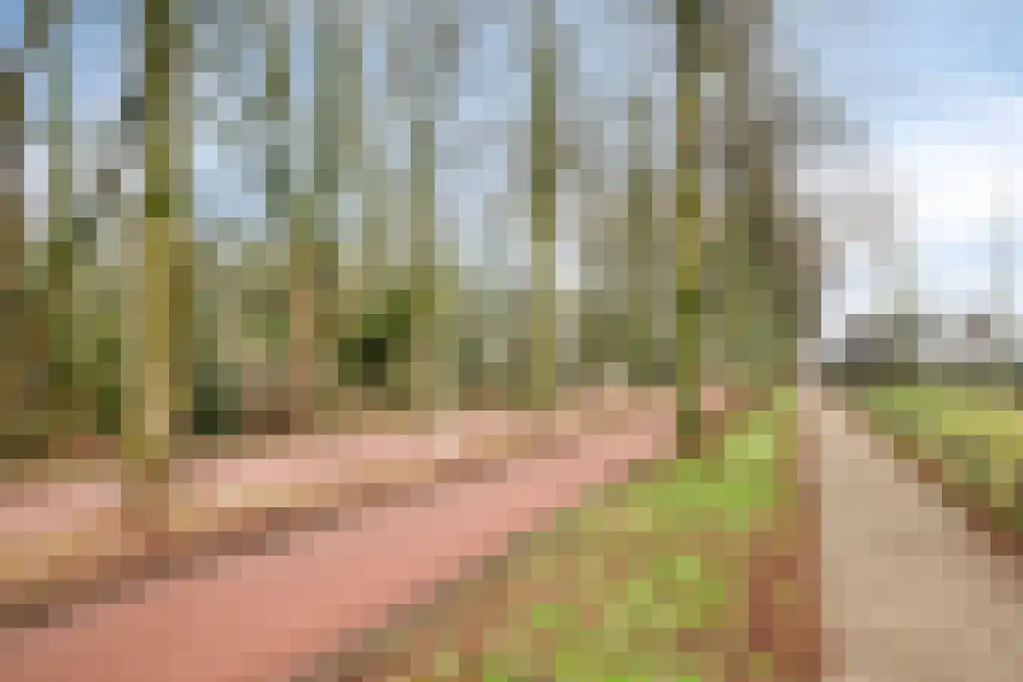 Schothorsterlaan 55 Amersfoort thumbnail 41