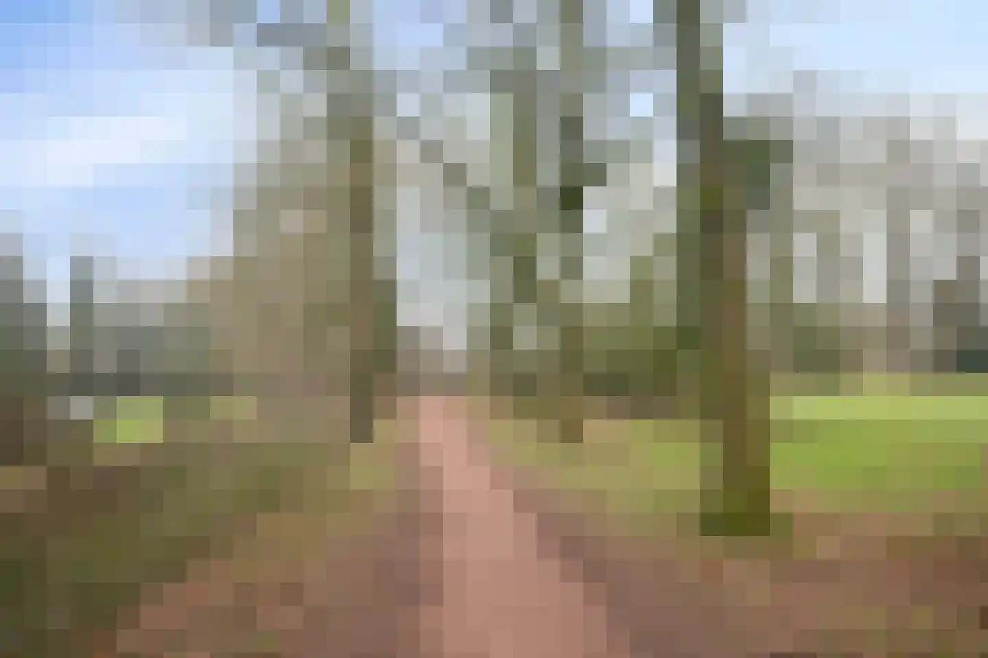 Schothorsterlaan 55 Amersfoort thumbnail 41
