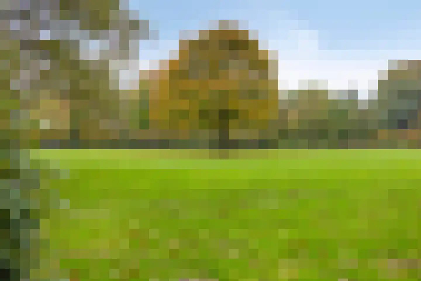 Schothorsterlaan 55 Amersfoort thumbnail 42
