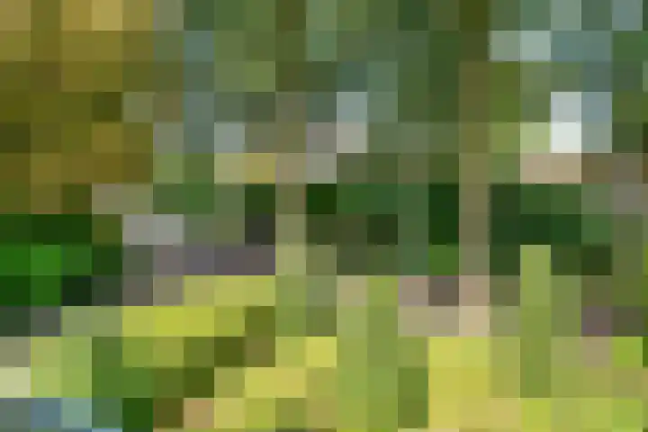 Schothorsterlaan 98 Amersfoort thumbnail 23