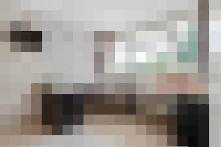 Schothorsterlaan 98 Amersfoort thumbnail 30