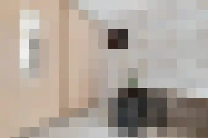 Schothorsterlaan 98 Amersfoort thumbnail 31