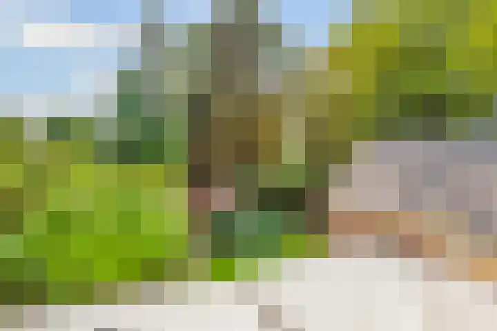 Schothorsterlaan 98 Amersfoort thumbnail 32