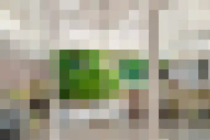 Schothorsterlaan 98 Amersfoort thumbnail 43