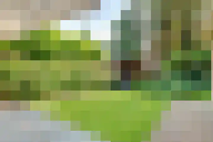 Schothorsterlaan 98 Amersfoort thumbnail 47