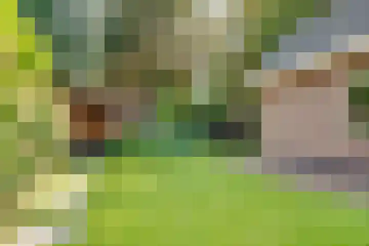 Schothorsterlaan 98 Amersfoort thumbnail 48