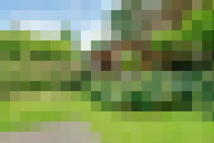 Schothorsterlaan 98 Amersfoort thumbnail 60