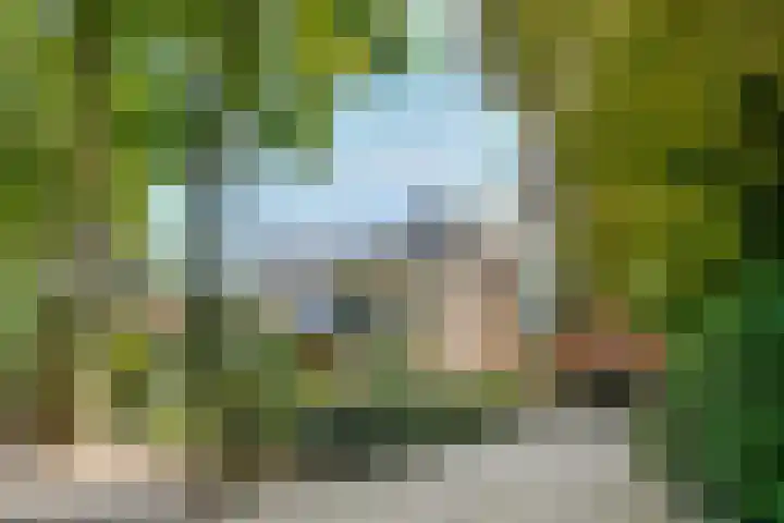 Schothorsterlaan 98 Amersfoort thumbnail 63