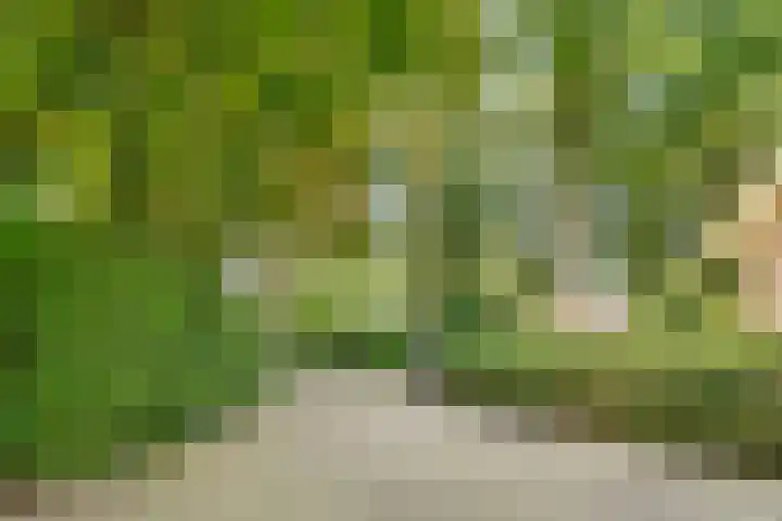 Schothorsterlaan 98 Amersfoort thumbnail 64