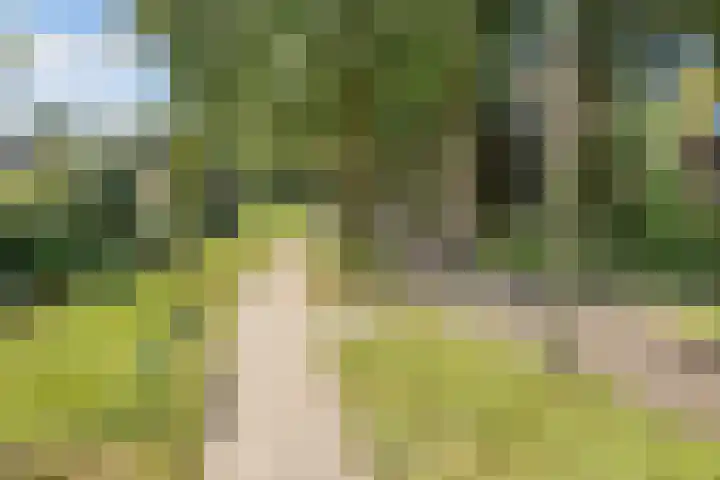 Schothorsterlaan 98 Amersfoort thumbnail 67