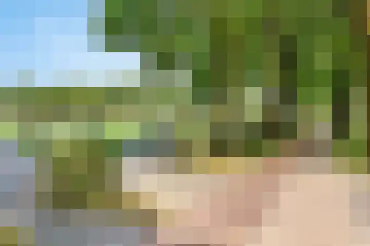 Schothorsterlaan 98 Amersfoort thumbnail 68