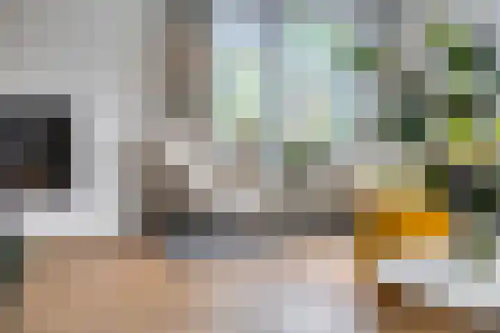 Schotkampseweg 2 Heerde thumbnail 11
