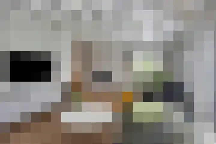 Schotkampseweg 2 Heerde thumbnail 12