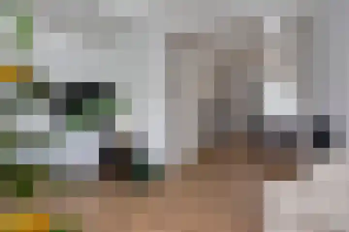 Schotkampseweg 2 Heerde thumbnail 13