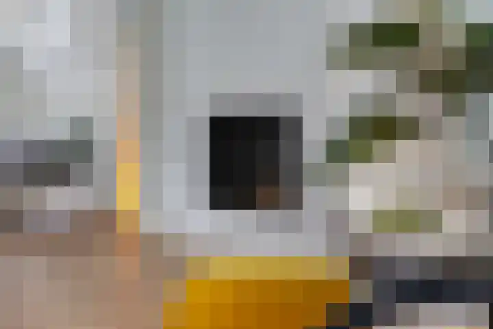 Schotkampseweg 2 Heerde thumbnail 14
