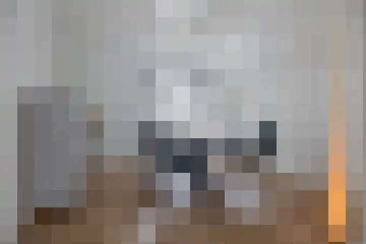 Schotkampseweg 2 Heerde thumbnail 15