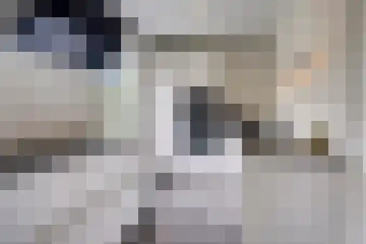 Schotkampseweg 2 Heerde thumbnail 17
