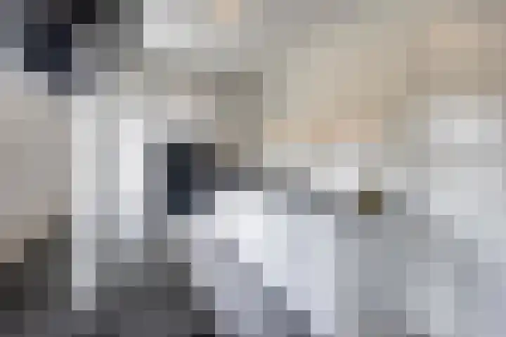 Schotkampseweg 2 Heerde thumbnail 18